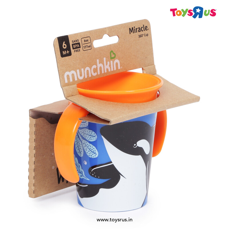 Baby Gear for Toys